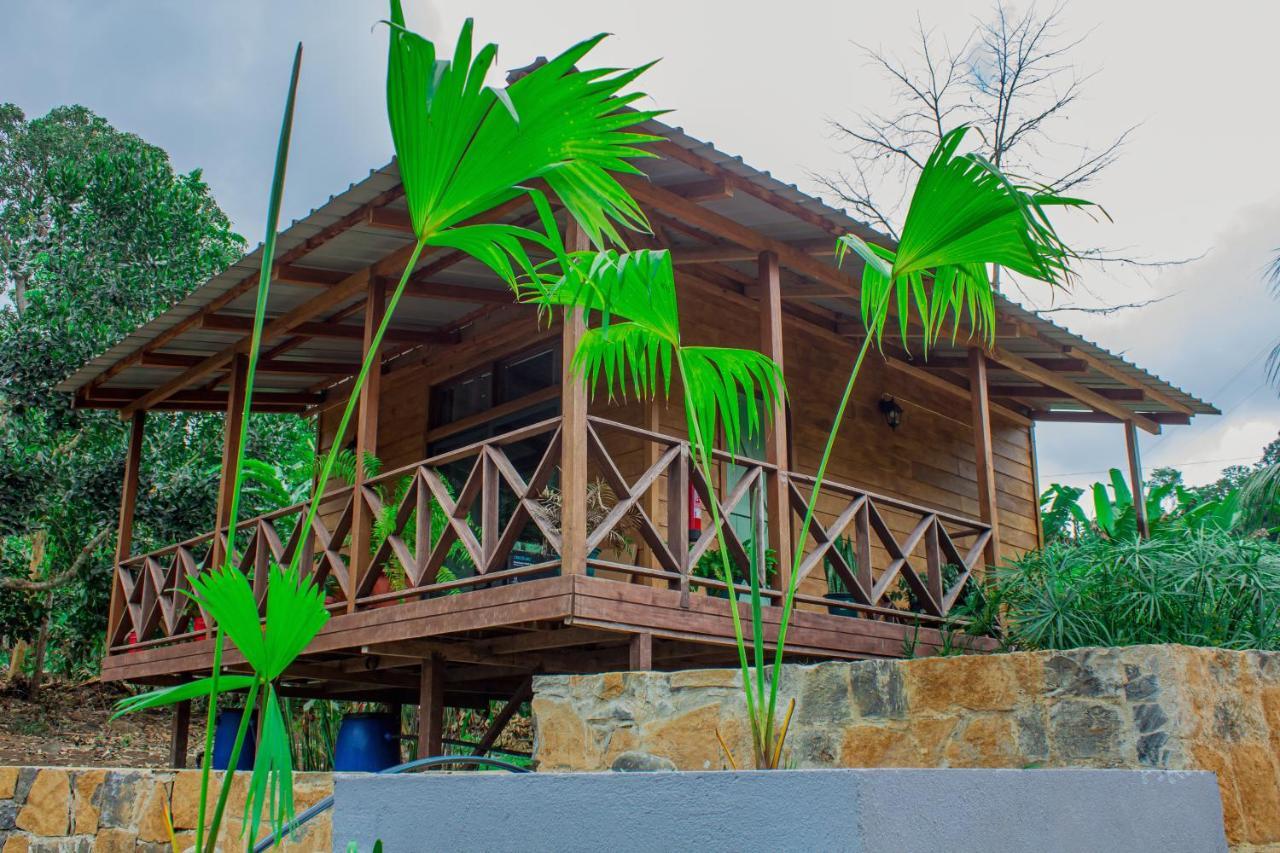 Eden Valley Ecolodge And Farming Madalena Εξωτερικό φωτογραφία