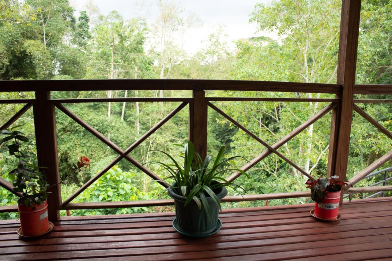 Eden Valley Ecolodge And Farming Madalena Εξωτερικό φωτογραφία