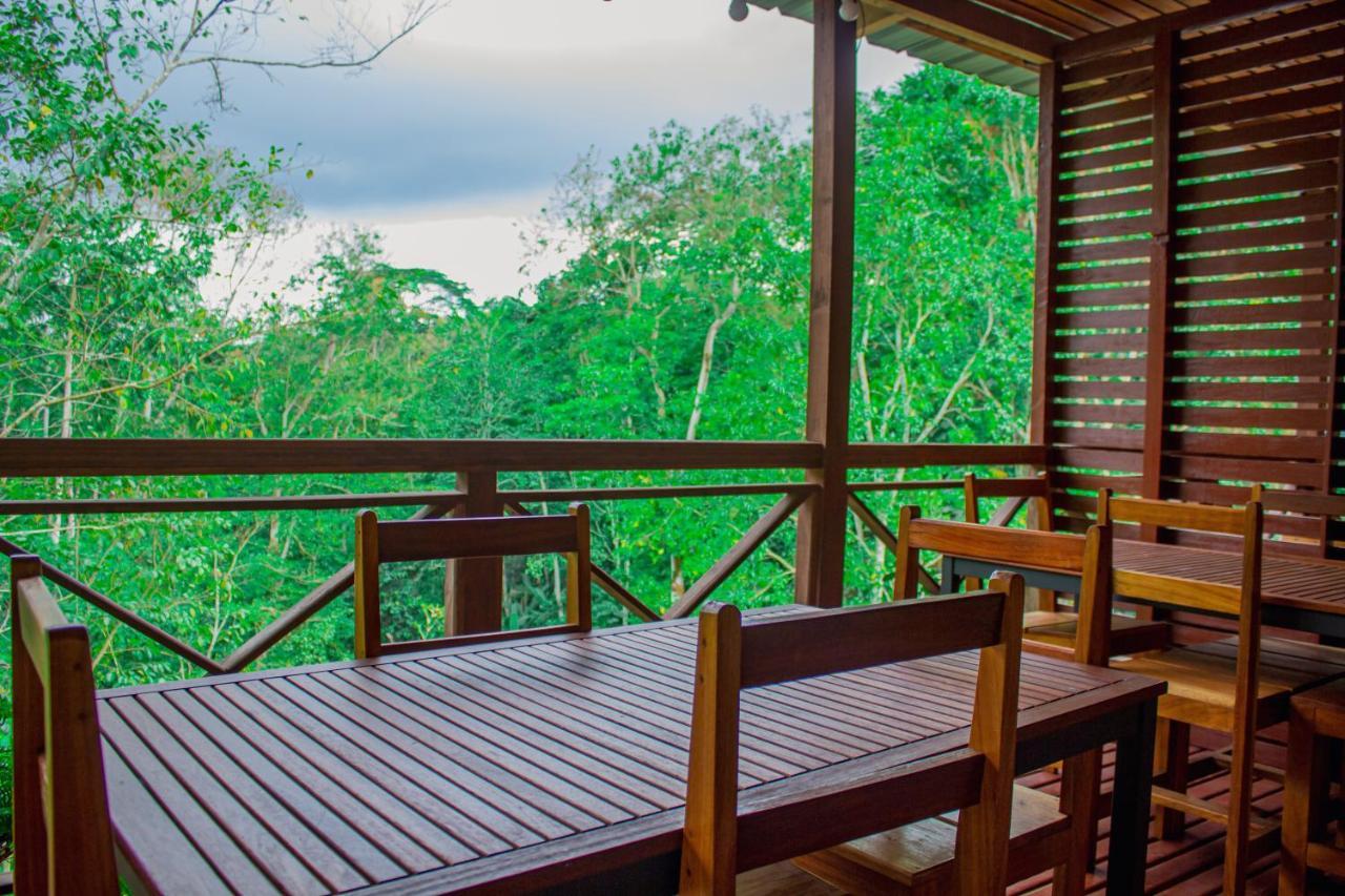 Eden Valley Ecolodge And Farming Madalena Εξωτερικό φωτογραφία