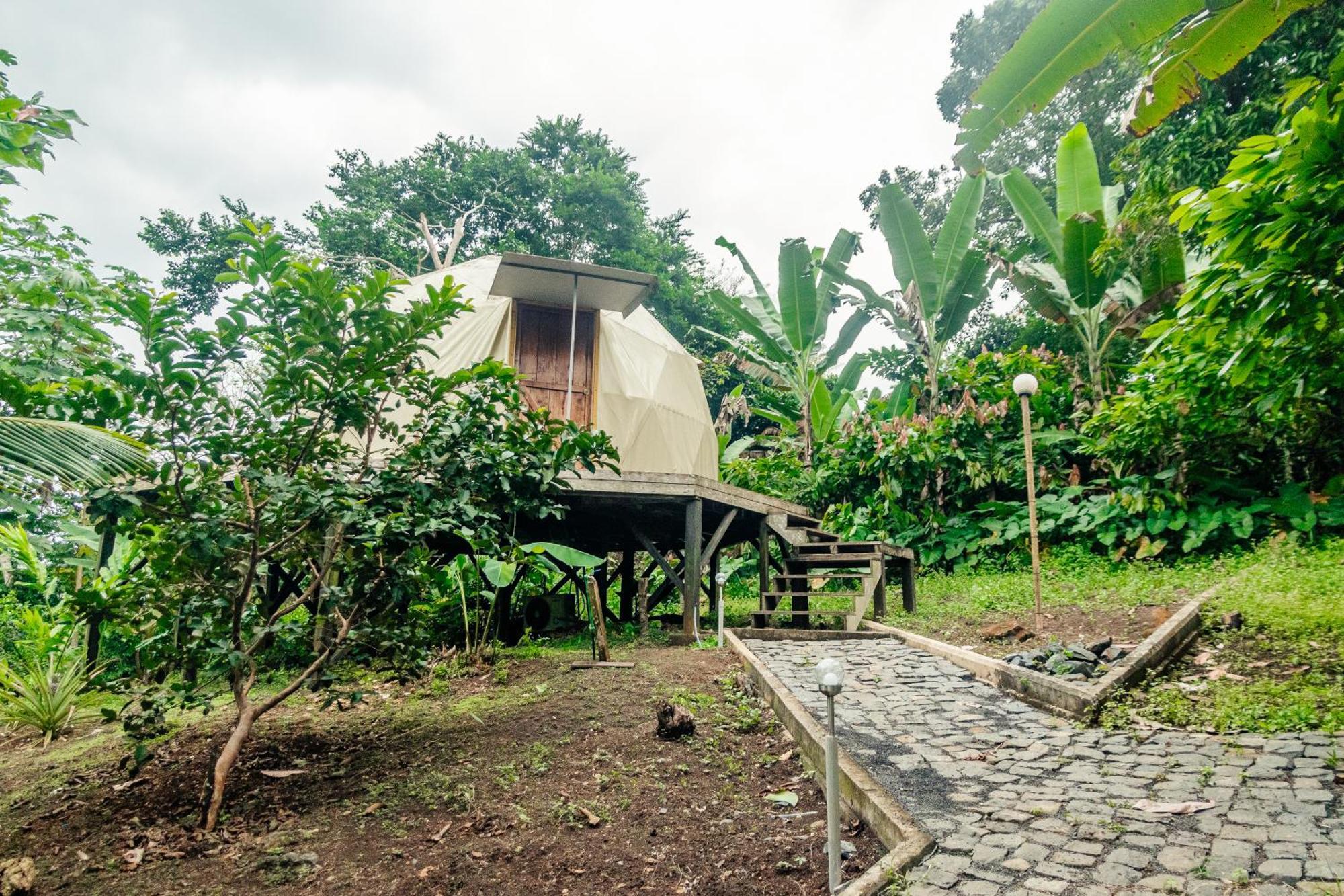 Eden Valley Ecolodge And Farming Madalena Εξωτερικό φωτογραφία